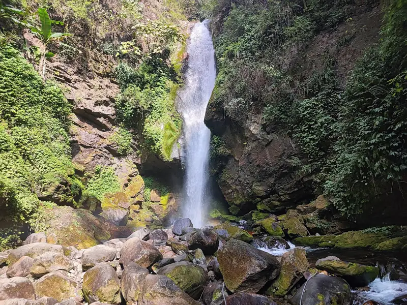 New Jalpaiguri to Sangay Waterfall Cab